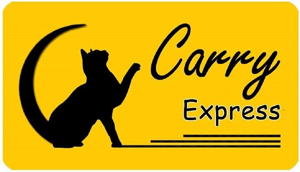 Cat Carry đơn vị vận chuyển hàng hóa uy tín, chất lượng