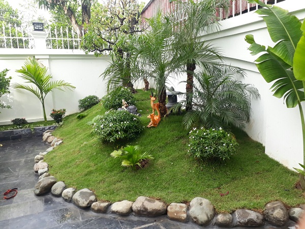 Tiểu cảnh sân vườn theo phong cách đơn giản