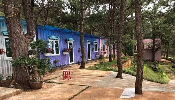 Mẫu homestay container thi công giữa rừng thông tạo cảm giác gần gũi với thiên nhiên mang đến cho khách du lịch những trải nghiệm thoải mái