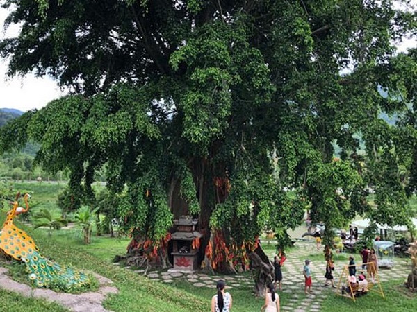 Cây Mộc Thần