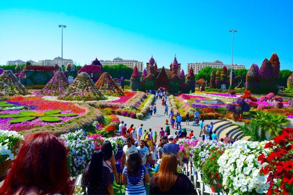 Du lịch Dubai -vườn hoa Miracle Garden