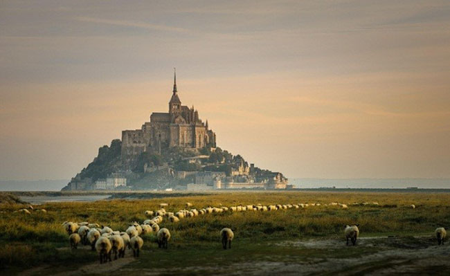 du lịch Pháp - Mont Saint-Michel