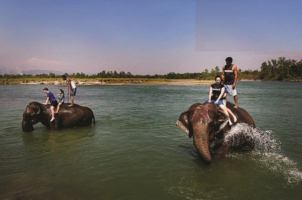 Khám phá Nepal - công viên Chitwan