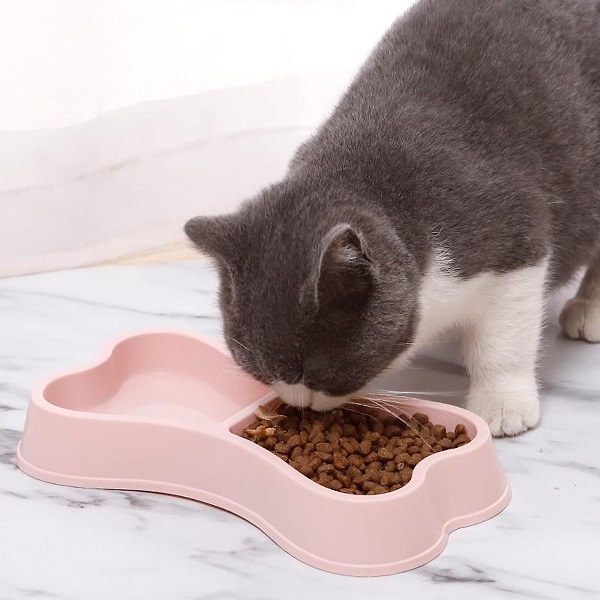 Bạn nên thay bát ăn bằng những chất liệu an toàn để hạn chế cằm mèo bị đen