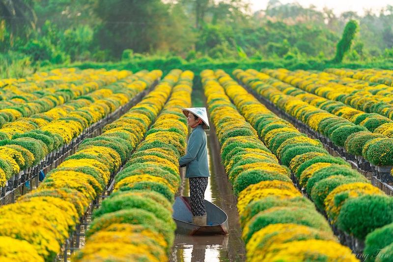 Những ngày cuối năm tại Đồng Tháp