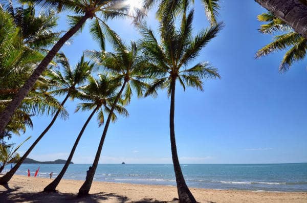 Bãi biển Palm Cove tại Úc