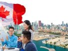 định cư Canada diện đầu tư và PNP - Định cư Canada diện Doanh nhân Khởi nghiệp (Start up Visa) là chương trình tối ưu được nhiều Doanh nhân Việt lựa chọn nhất hiện nay